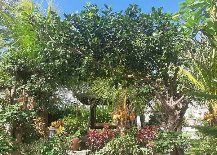 Villa Muaya *