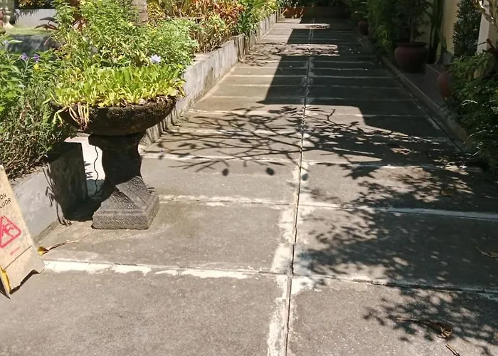 Muaya *